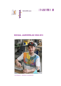 SOCIAAL JAARVERSLAG 2013 def versie 1. 2