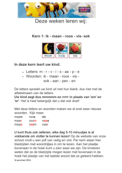 Dit leert uw kind met Veilig leren lezen.