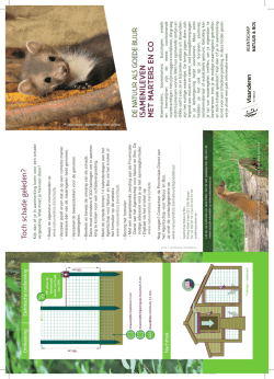 Download de folder over marters en co (pdf - 400 KB)