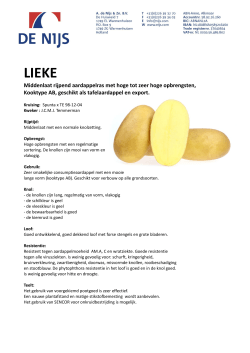 Lieke - De Nijs