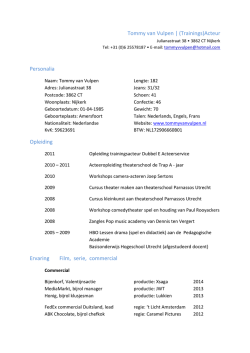 Download CV - Tommy van Vulpen
