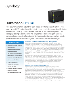 DiskStation DS213+