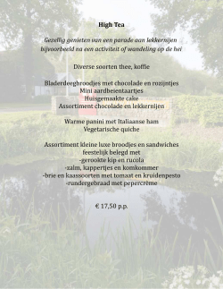 Party en High tea - Nieuw Allardsoog