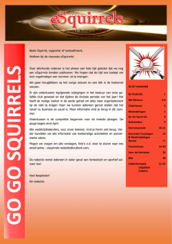 go go sq uirrels - Borgerhout Squirrels