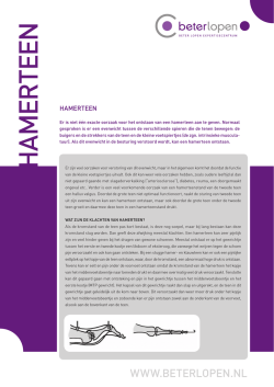 Hamerteen () - Beter Lopen
