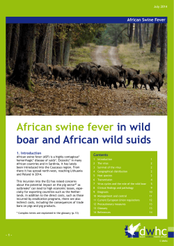 African swine fever in wild boar and African wild suids