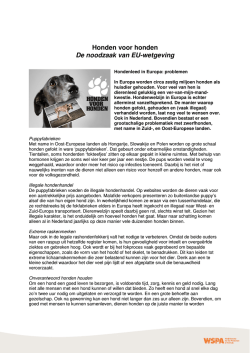 Honden voor honden De noodzaak van EU-wetgeving