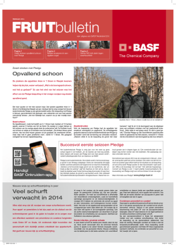 Download as PDF