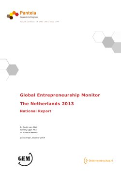 Global Entrepreneurship Monitor The Netherlands 2013 Na