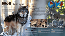 Lees meer