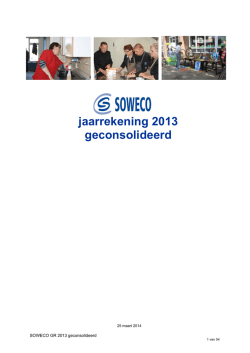 Download Jaarverslag 2013