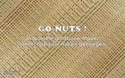 Go nuts! flyer Inge Vleemingh.indd