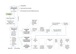 Globaal schema van de procedures