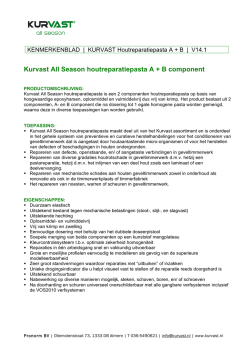 Kurvast All Season houtreparatiepasta A + B component