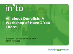 All about Dunglish: A Workshop of Have I You