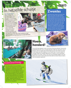 In hetzelfde schuitje