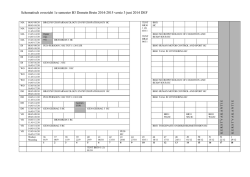 Schematisch overzicht van de Bachelor 3 BREIN