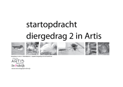 startopdracht lln 2014.indd