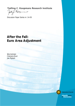 After the Fall: Euro Area Adjustment