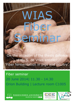 Announcement WIAS Fiber Seminar