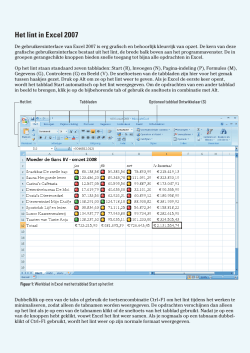 Excel 2007 voor Dummies, kleurkatern