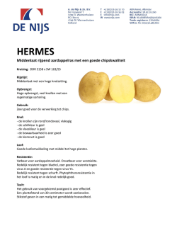 HERMES - Nijs