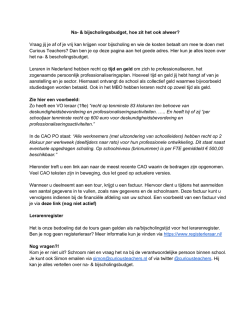 dit door ons gemaakt document