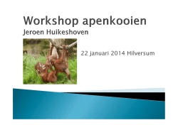 8. Apenkooi, het aller-leukste spel!