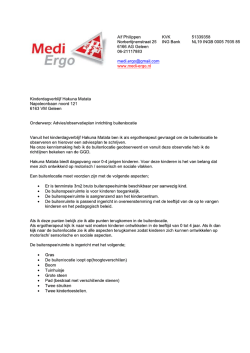 Verslag Ergotherapeut - Kinderdagverblijf Hakuna Matata