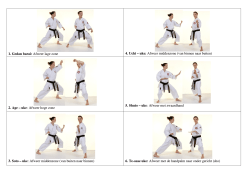 Afweertechnieken - Funakoshi Karate Tongerlo