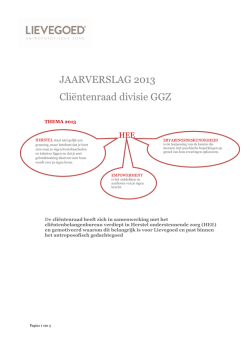 Jaarverslag DCR GGZ