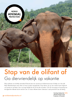 Stap van de olifant af - World Animal Protection