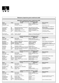 Meerjaren programma groot onderhoud asfalt