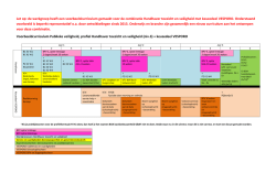 Voorbeeldcurriculum Handhaver toezicht en veiligheid