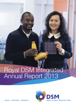 Royal DSM Integrated Annual Report 2013