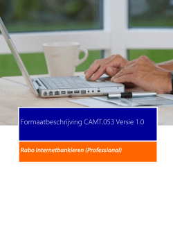 Formaatbeschrijving CAMT.053 Versie 1.0