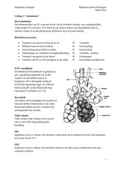 Medische fysiologie Rijksuniversiteit Groningen Niek