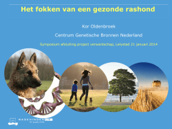 Het fokken van een gezonde rashond