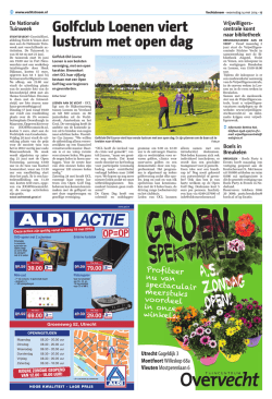 Artikel in pdf-formaat