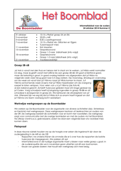 Groep 5B-6B Werkwijze werkgroepen op de Boomladder Pleinpraat