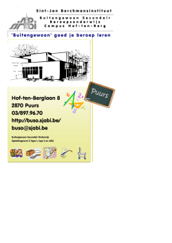 info brochure  - BuSO - Sint