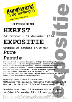 14.0 Kunstwerk in de Stellingen - Herfstexpositie vanaf 24-10-2014