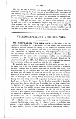 De hoofdader van den arm