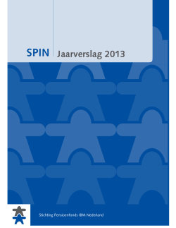 SPIN Jaarverslag 2013