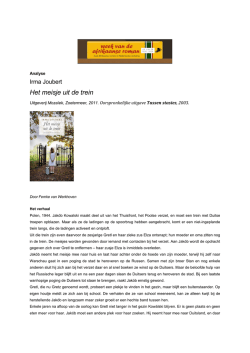 Het meisje uit de trein