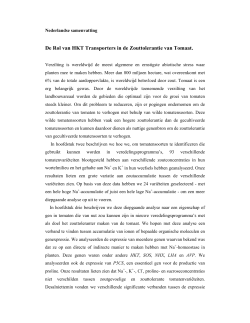 De Rol van HKT Transporters in de Zouttolerantie - VU