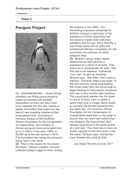 3. Penguin project