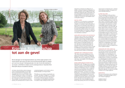 Gras tot aan de gevel