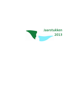 Jaarstukken 2013 v1.02