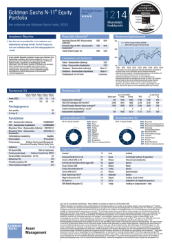 Goldman Sachs N-11&reg; Equity Portfolio